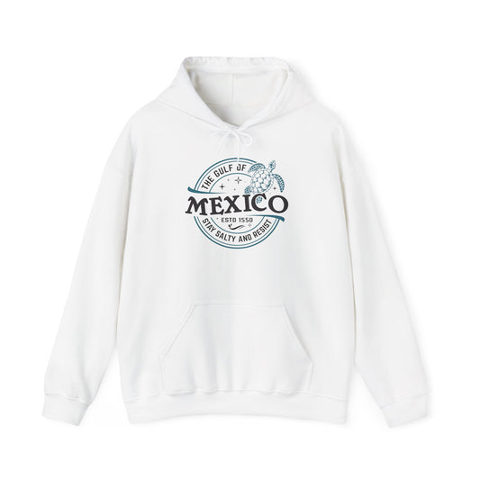 Gulf of Mexico Graphic Hoodie - Unisex Heavy Blend Sweatshirt