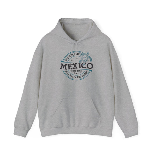 Gulf of Mexico Graphic Hoodie - Unisex Heavy Blend Sweatshirt