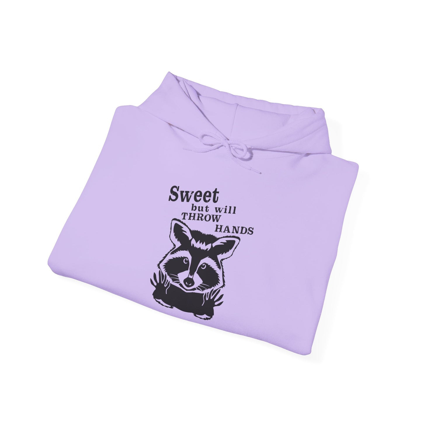 Sweet Raccoon Unisex Hooded Sweatshirt - Cozy & Playful Design